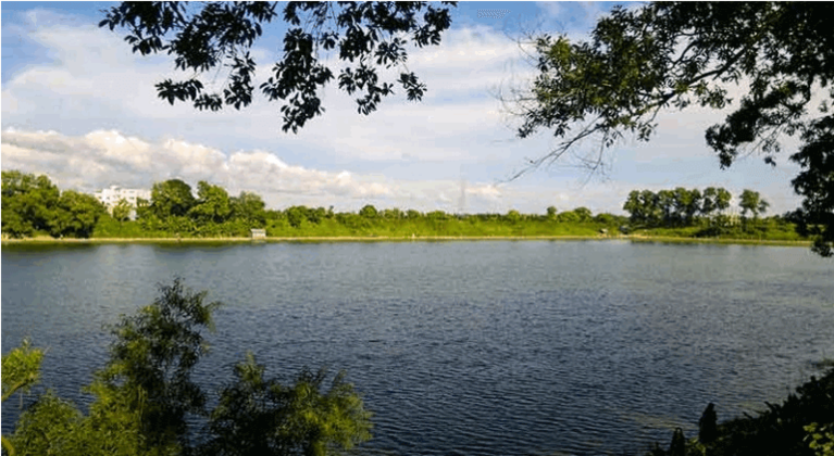 Bijoy Singh Dighi A Old Beautiful Lake At Feni (noakhali)